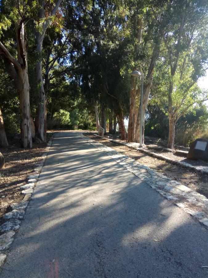לינה וארוחת בוקר יובל הפינה של אורנה מראה חיצוני תמונה
