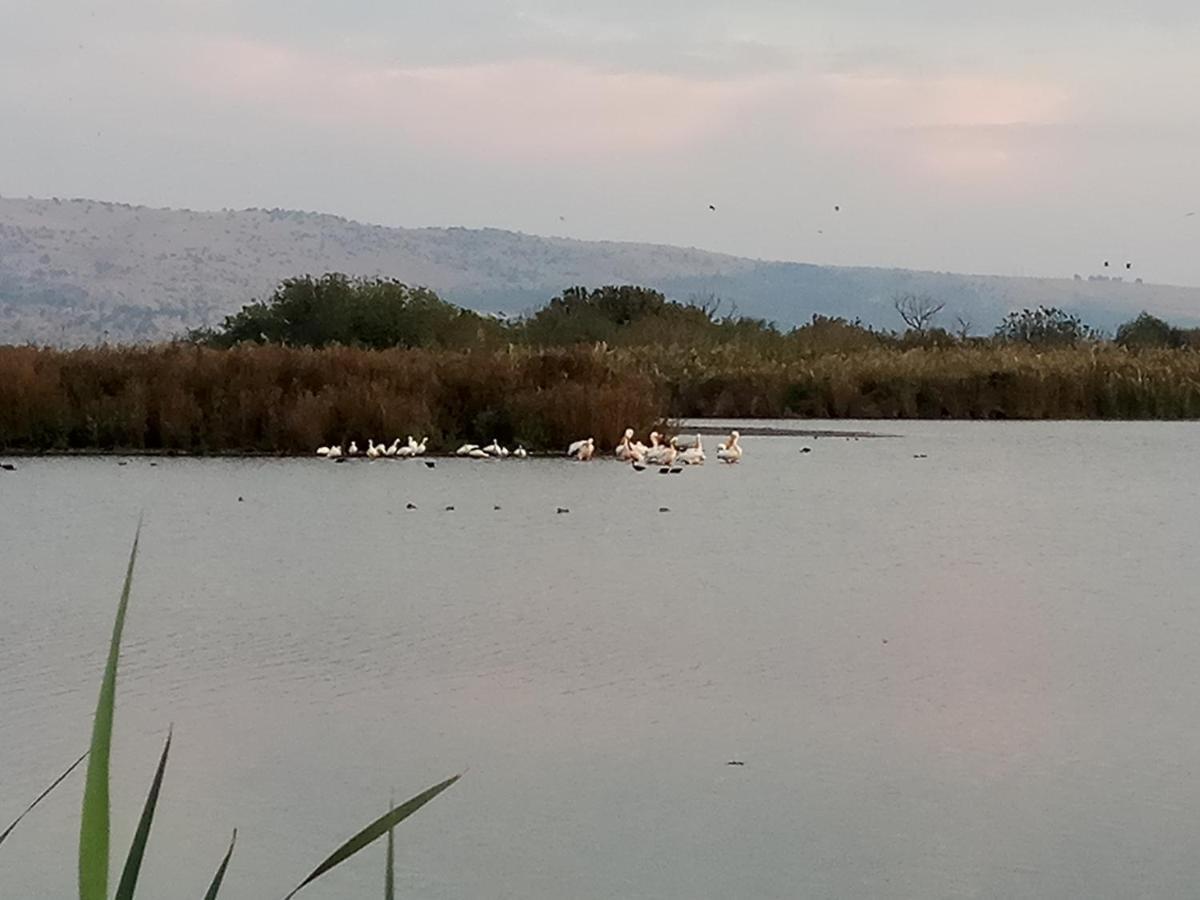 לינה וארוחת בוקר יובל הפינה של אורנה מראה חיצוני תמונה