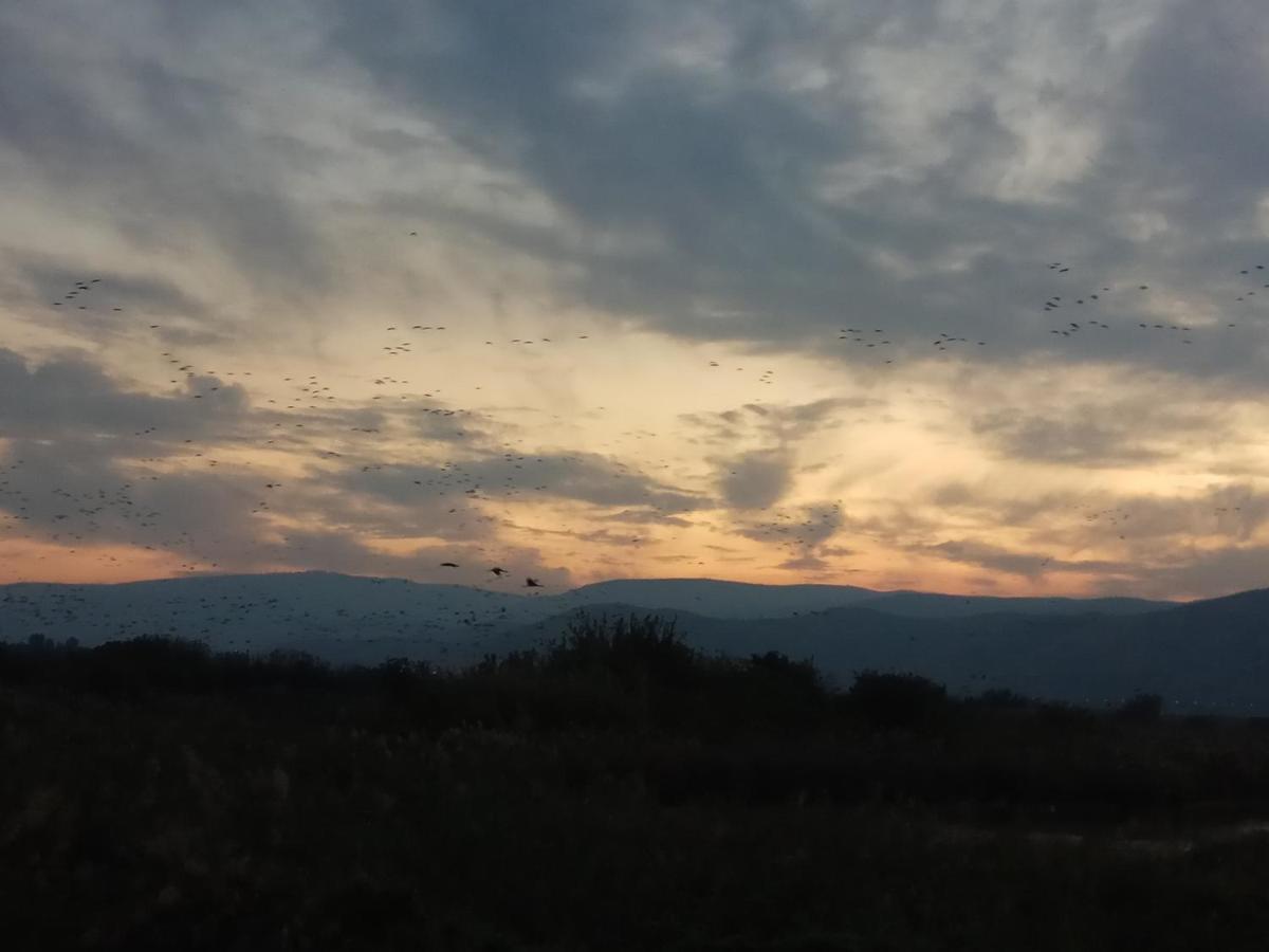 לינה וארוחת בוקר יובל הפינה של אורנה מראה חיצוני תמונה